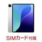 Apple iPad Pro 第4世代 12.9インチ 256GB （SIMカードセット・標準10GB/月）