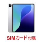 Apple iPad Pro 第5世代 12.9インチ 256GB（SIMカードセット・標準10GB/月）