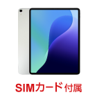 Apple iPad Pro 第3世代 12.9インチ 256GB（SIMカードセット・標準10GB/月）